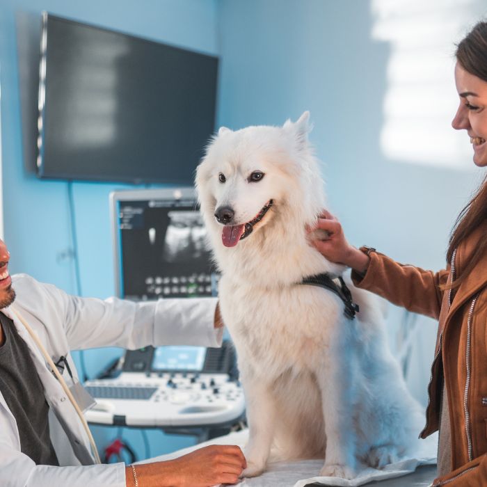 A woman embraces her dog in a vet office