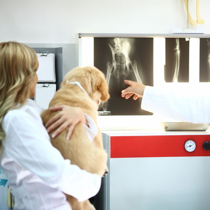 A woman embraces her dog in a vet office